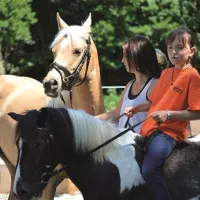 kaiser-camping-outdoor-resort-bad-feilnbach-9fpf2