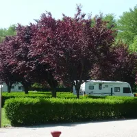 camping-municipal-de-la-moutte-st-pourcain-sur-sioule-ef4sm