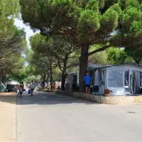 eurocamping-sant-antoni-de-calonge-oscjd