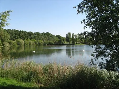 camping-de-maashoeve-ohe-en-laak-1z3ty