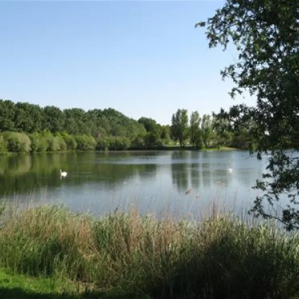 camping-de-maashoeve-ohe-en-laak-1z3ty