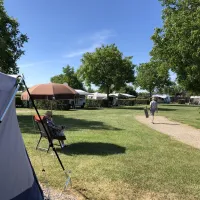 camping-de-maashoeve-ohe-en-laak-rzyaj