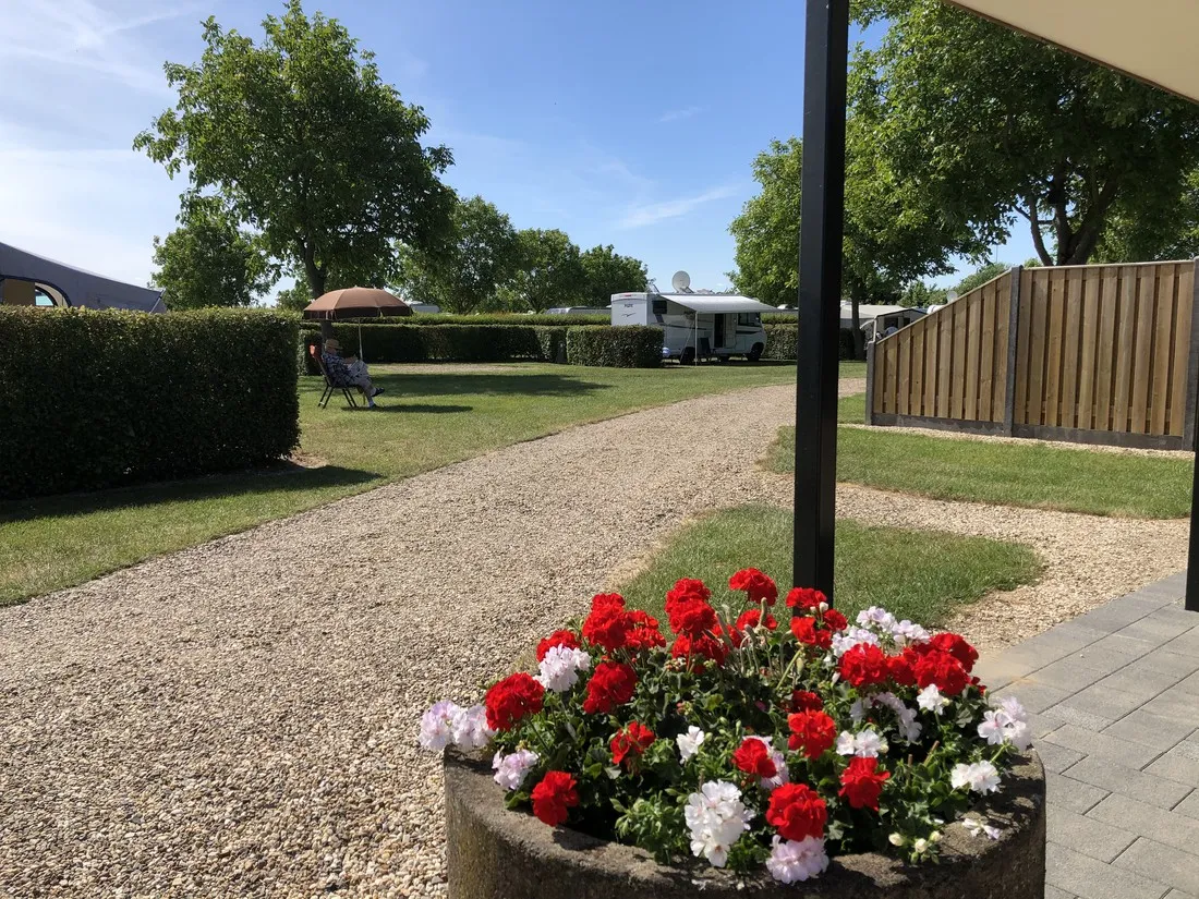 camping-de-maashoeve-ohe-en-laak-u8zlf