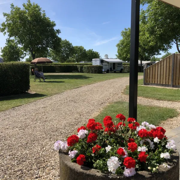 camping-de-maashoeve-ohe-en-laak-u8zlf