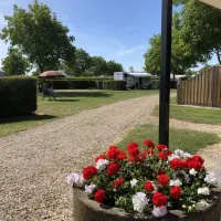 camping-de-maashoeve-ohe-en-laak-u8zlf
