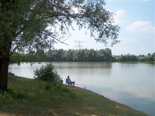 camping-de-maashoeve-ohe-en-laak-vpldt