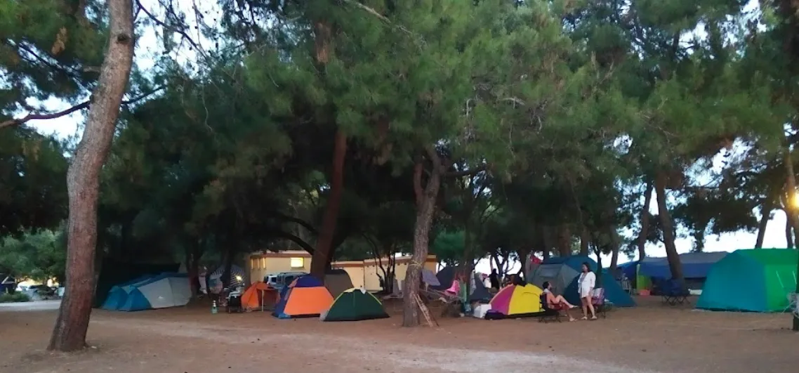 hipocamp-gmldr-feqsz