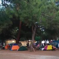hipocamp-gmldr-feqsz