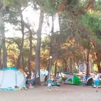hipocamp-gmldr-hgxt7
