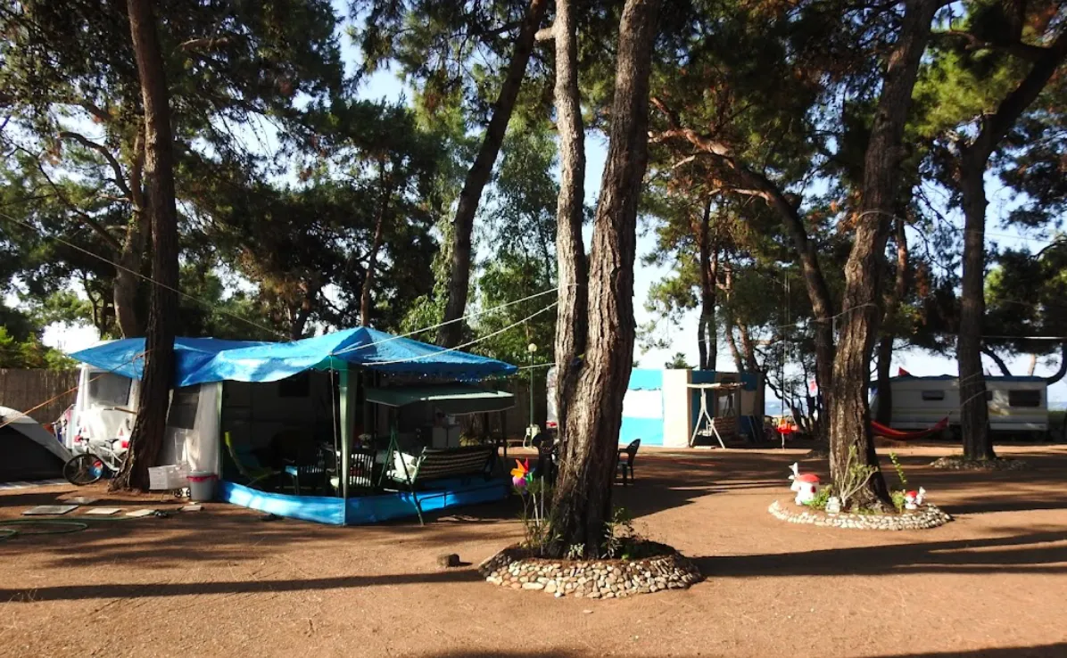 hipocamp-gmldr-na2vl