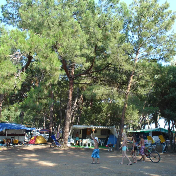 hipocamp-gmldr-ueagi