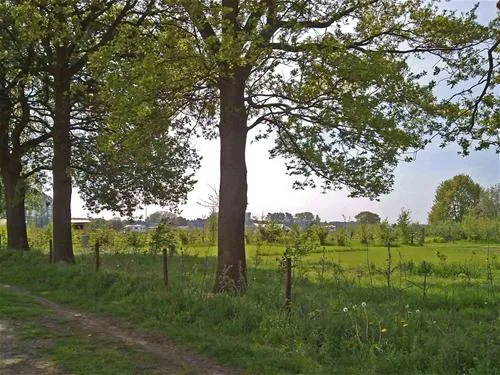 grasland-recreatie-sintoedenrode-74wrq
