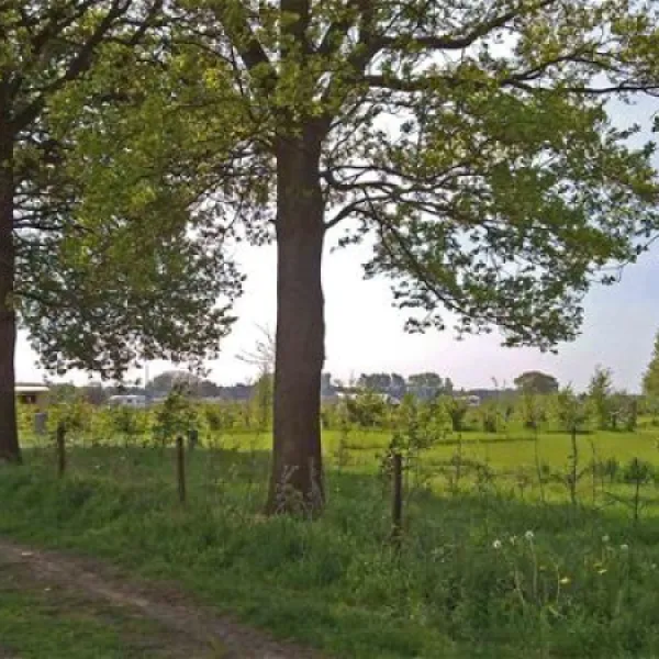 grasland-recreatie-sintoedenrode-74wrq