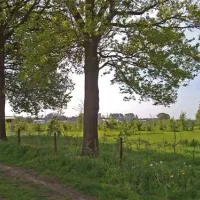 grasland-recreatie-sintoedenrode-74wrq