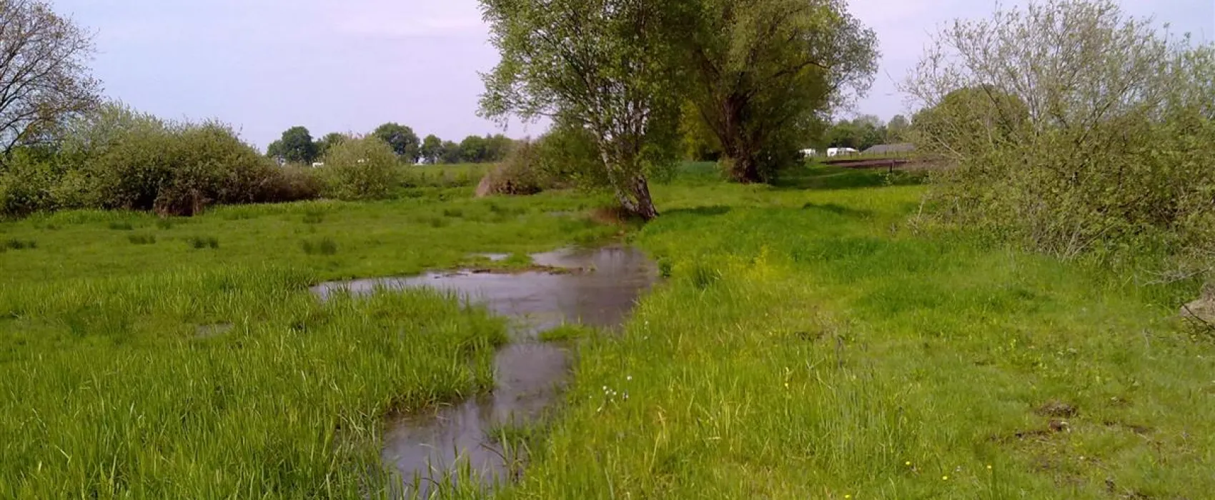 Grasland Recreatie