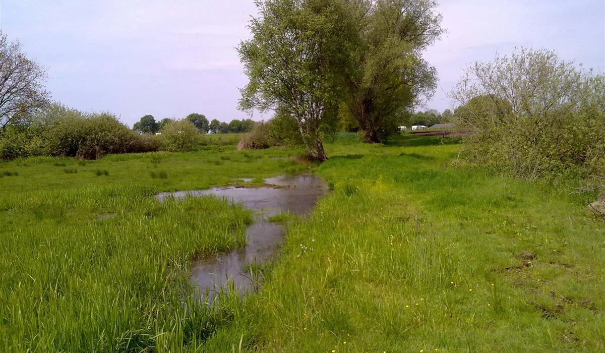 grasland-recreatie-sintoedenrode-eksf1