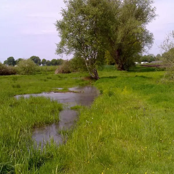 grasland-recreatie-sintoedenrode-eksf1