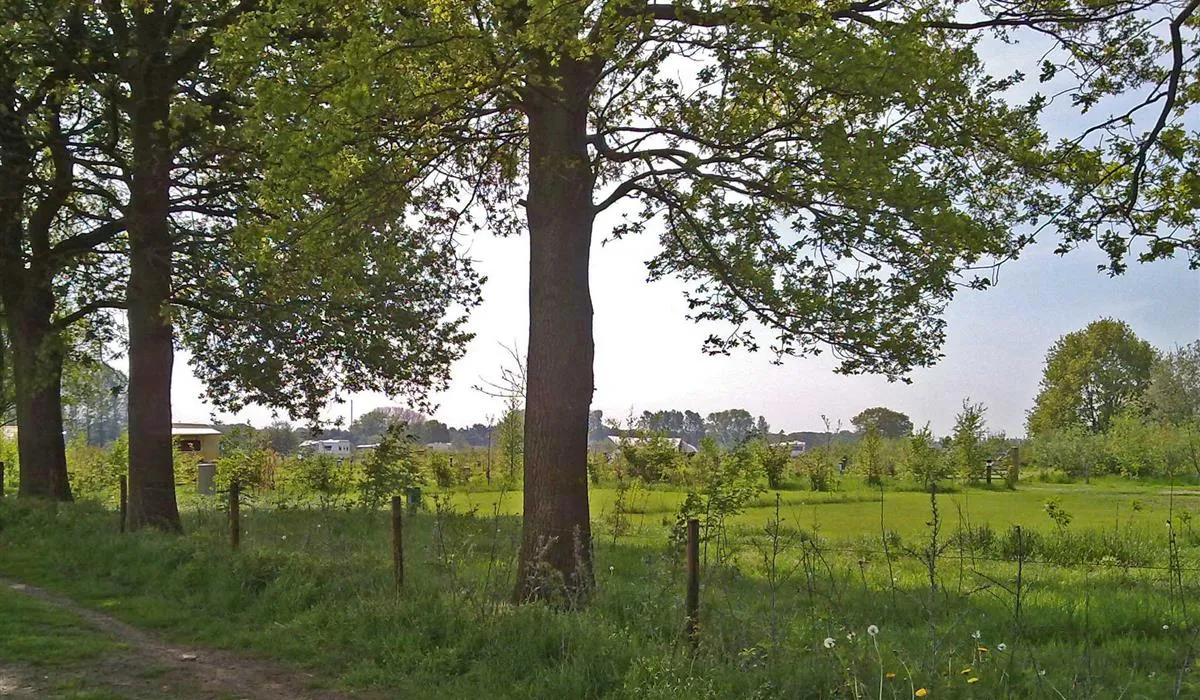 grasland-recreatie-sintoedenrode-gybfh