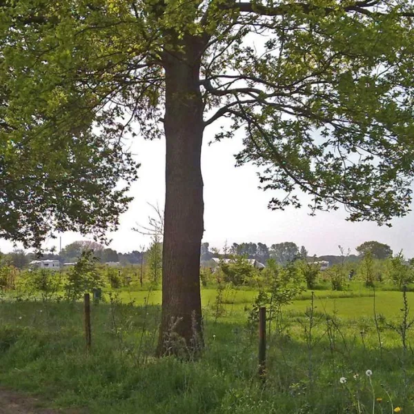 grasland-recreatie-sintoedenrode-gybfh