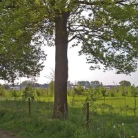 grasland-recreatie-sintoedenrode-gybfh