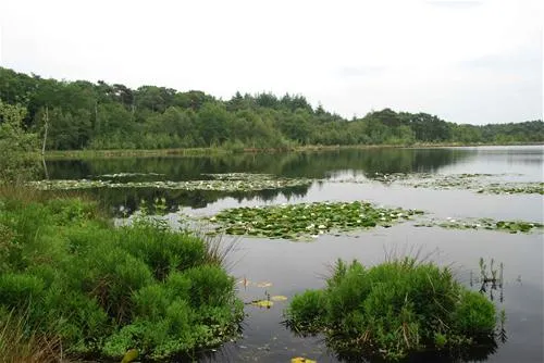 grasland-recreatie-sintoedenrode-ojt6j