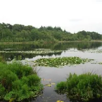 grasland-recreatie-sintoedenrode-ojt6j
