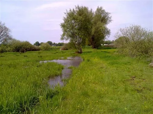 grasland-recreatie-sintoedenrode-rowyy