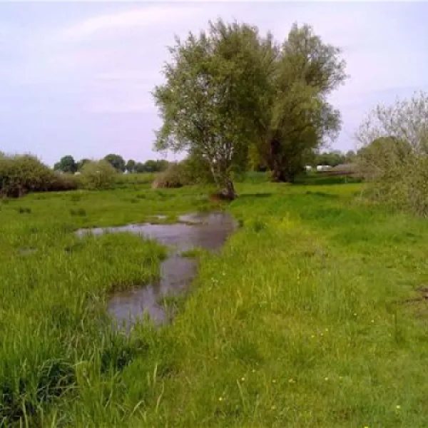 grasland-recreatie-sintoedenrode-rowyy