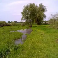 grasland-recreatie-sintoedenrode-rowyy