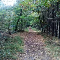 grasland-recreatie-sintoedenrode-tu1vj