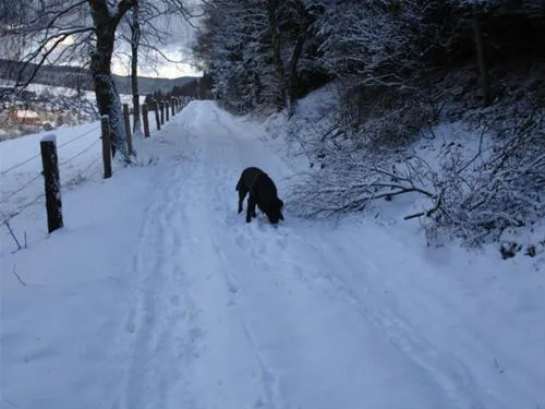 camping-ahretal-winterbergzschen-uetmd