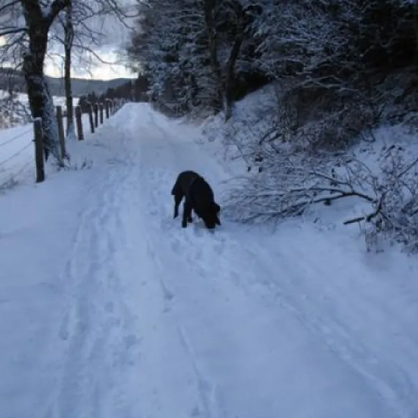 camping-ahretal-winterbergzschen-uetmd
