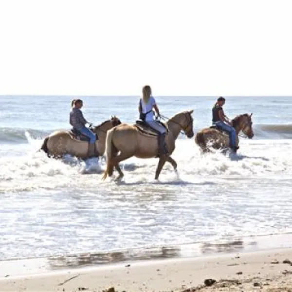 camping-villaggio-barricata-bonelli-bei-porto-tolle-cugvy