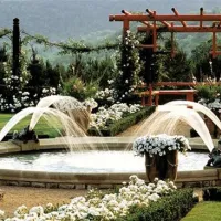 flower-camping-le-temps-de-vivre-salignaceyvigues-cnyxr