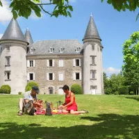 Castel Le Chateau De Leychoisier  