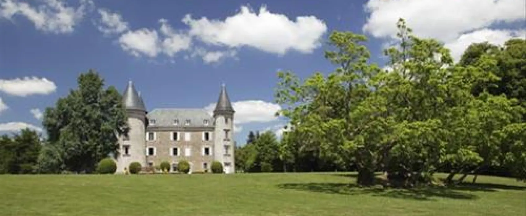 Castel Le Chateau De Leychoisier  