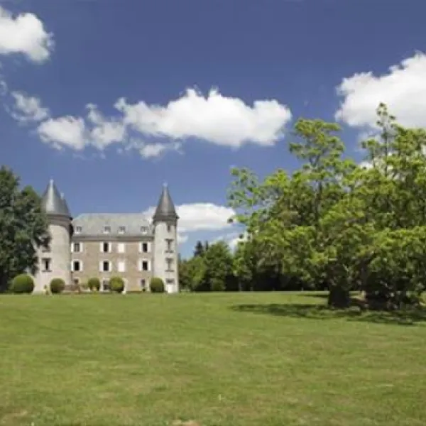 castel-le-chateau-de-leychoisier-bonnac-la-cte-pjpqa