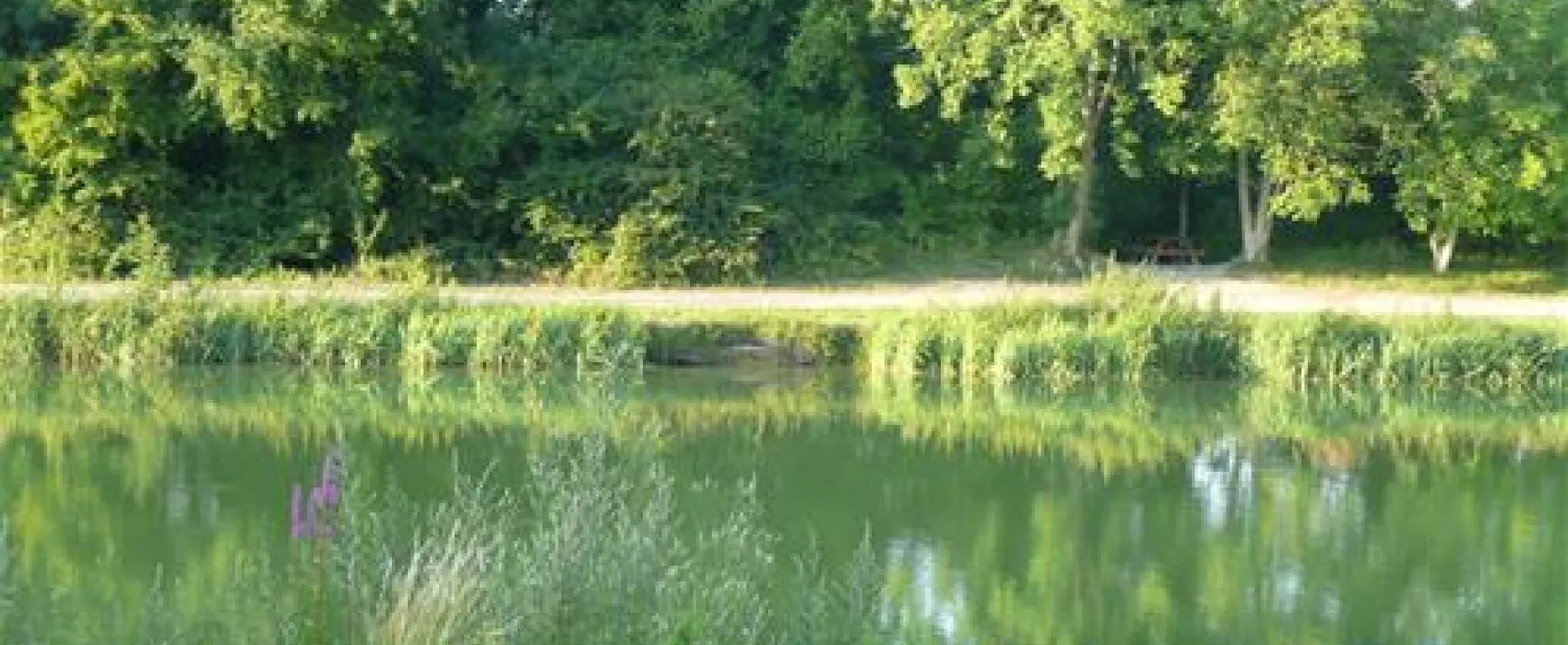 Camping Le Domaine De La Nature