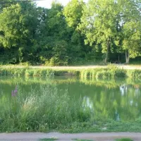 camping-le-domaine-de-la-nature-vailly-sur-aisne-llhwe