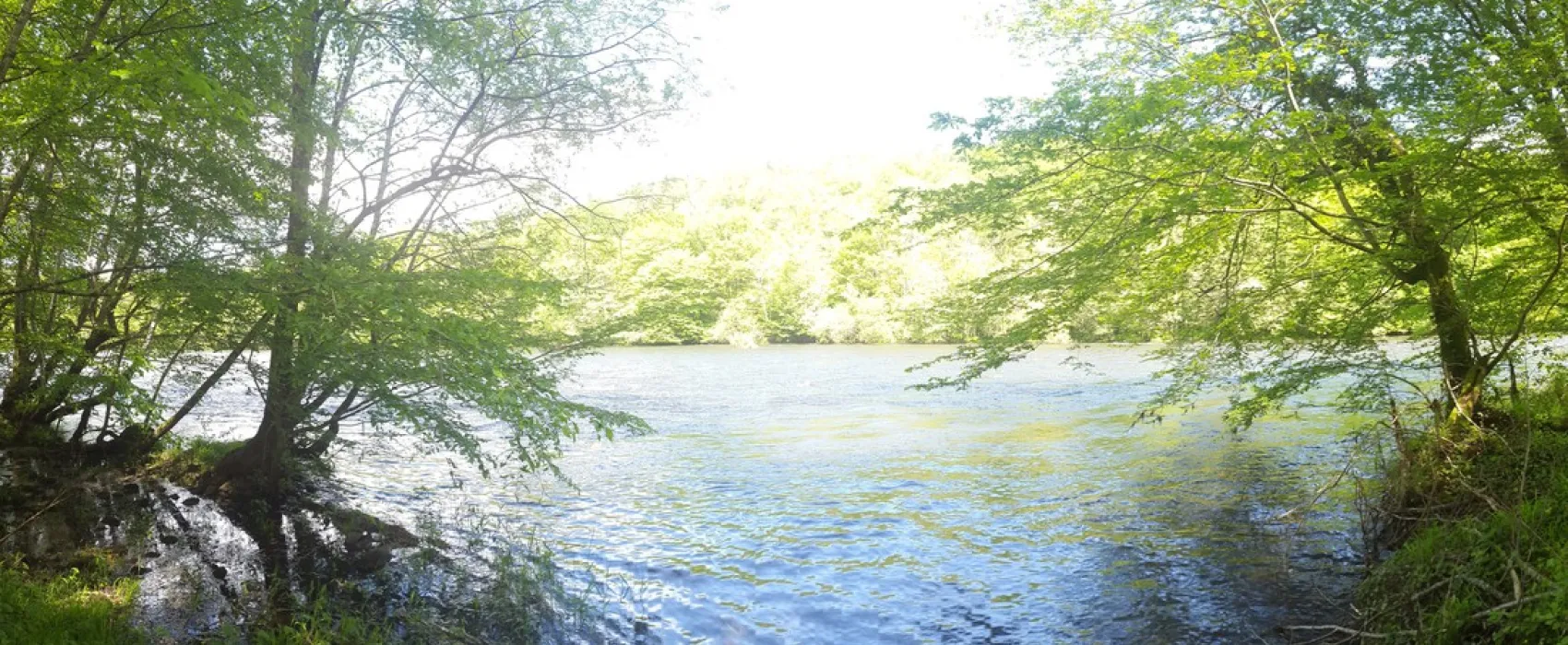 Le Vieux Moulin