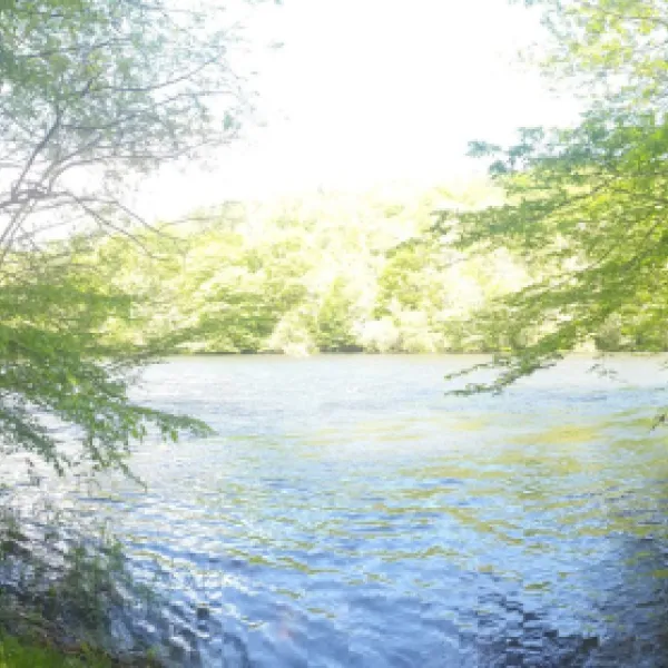 le-vieux-moulin-brivezac-embep
