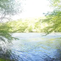 Le Vieux Moulin