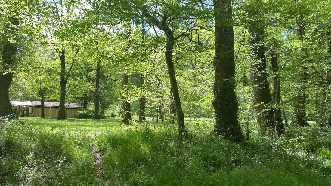 le-vieux-moulin-brivezac-o0gyg
