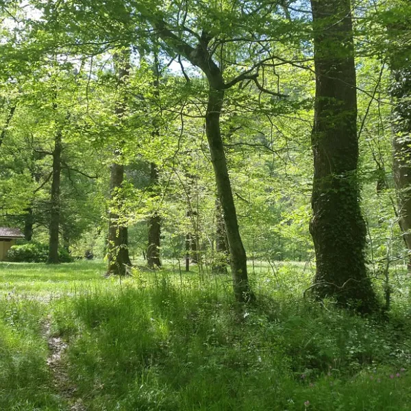 le-vieux-moulin-brivezac-o0gyg