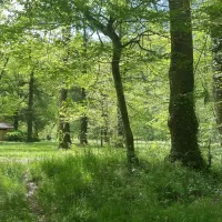 le-vieux-moulin-brivezac-o0gyg