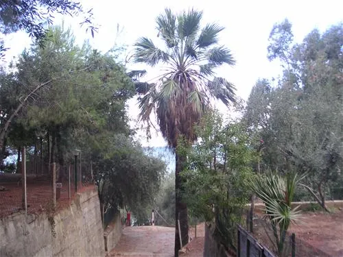campeggio-san-filippo-cefal-zpype