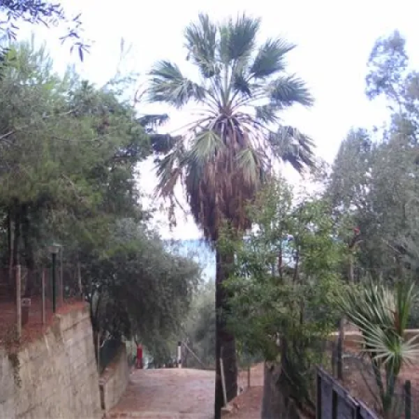 campeggio-san-filippo-cefal-zpype