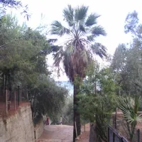 Campeggio San Filippo