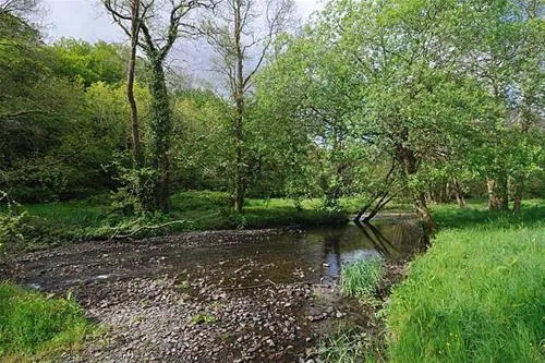 abermarlais-caravan-park-llangadog-fqdmp