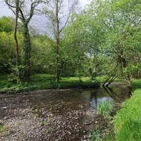 abermarlais-caravan-park-llangadog-fqdmp